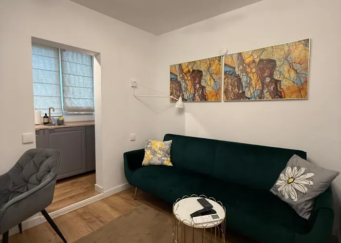 Boutique Serenity Апартаменти Клуж-Напока